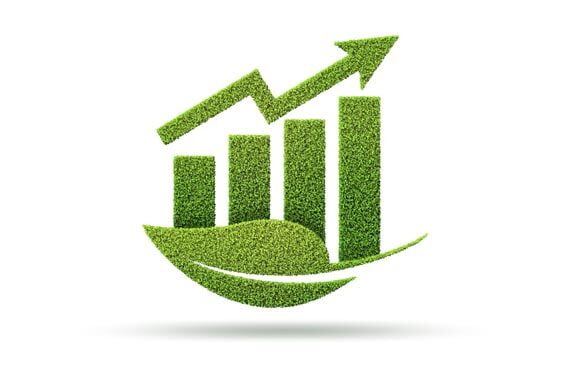 Estate agent energy efficiency & growth